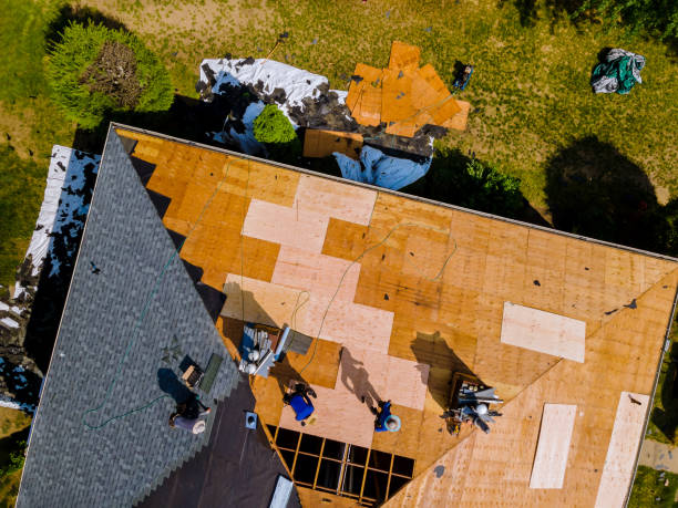 Quick and Trustworthy Emergency Roof Repair Services in Lake Clarke Shores, FL